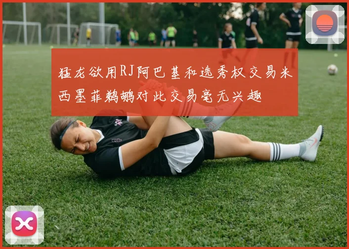 猛龙欲用RJ阿巴基和选秀权交易米西墨菲鹈鹕对此交易毫无兴趣