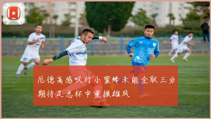 厄德高感叹对小蜜蜂未能全取三分期待足总杯中重振雄风