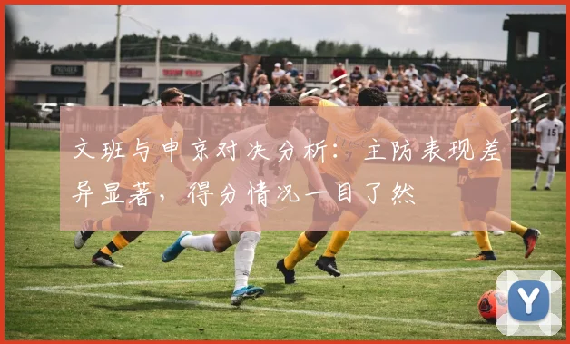 文班与申京对决分析：主防表现差异显著，得分情况一目了然