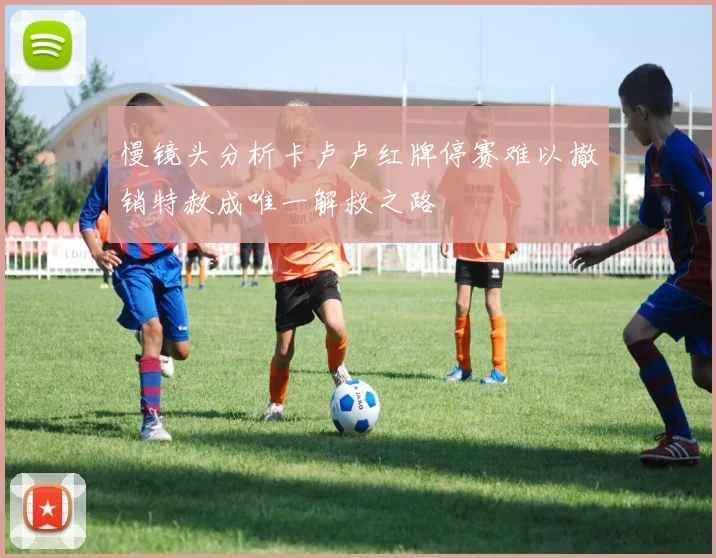 慢镜头分析卡卢卢红牌停赛难以撤销特赦成唯一解救之路