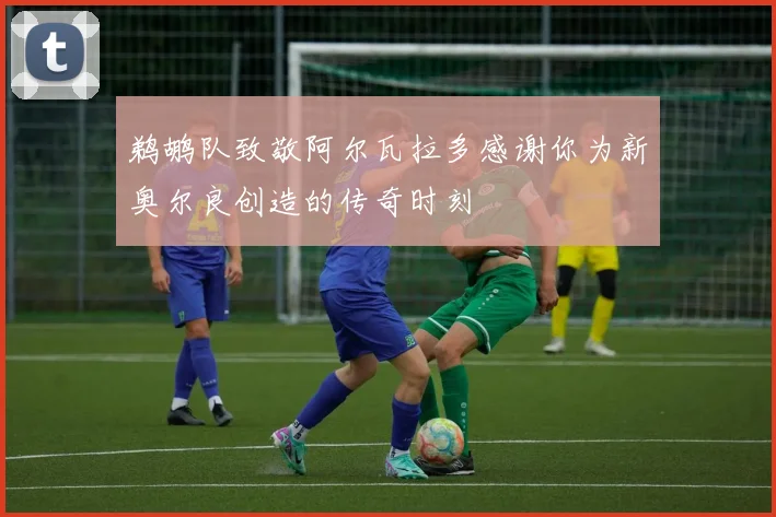 鹈鹕队致敬阿尔瓦拉多感谢你为新奥尔良创造的传奇时刻