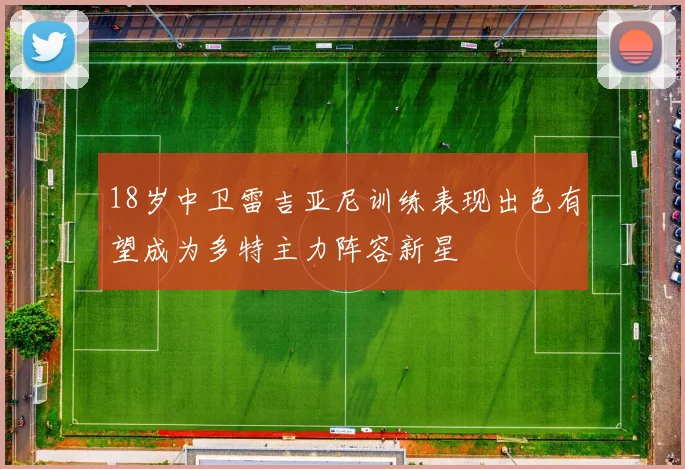 18岁中卫雷吉亚尼训练表现出色有望成为多特主力阵容新星