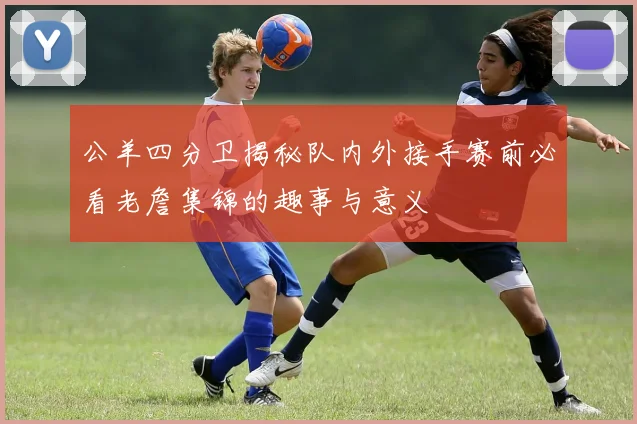 公羊四分卫揭秘队内外接手赛前必看老詹集锦的趣事与意义