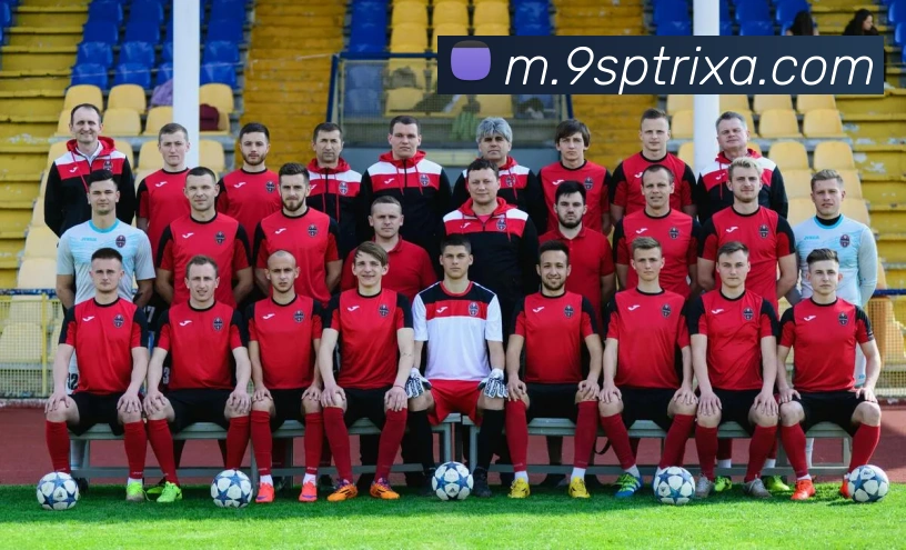 9sp体育服务体系